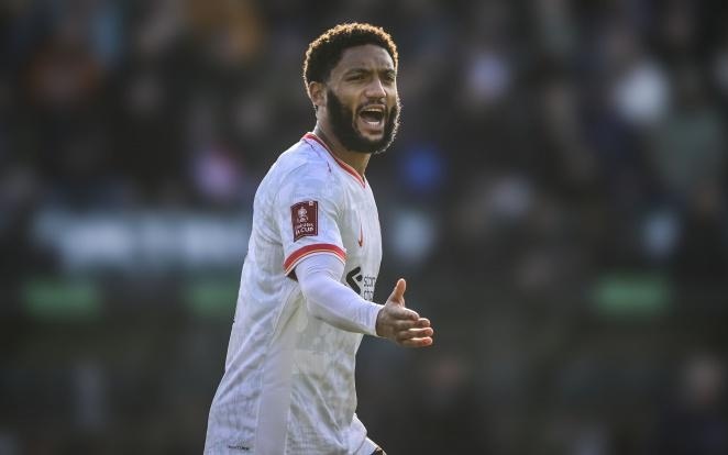 占一个正式 占一个正式