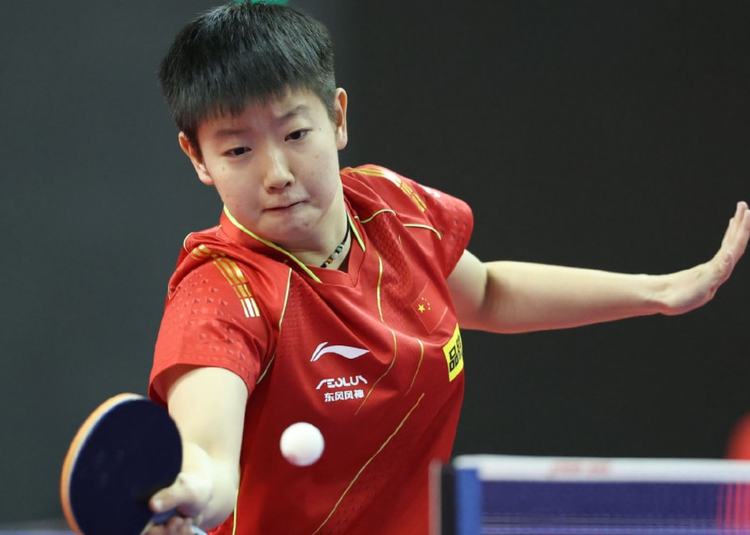 据的结论 据的结论