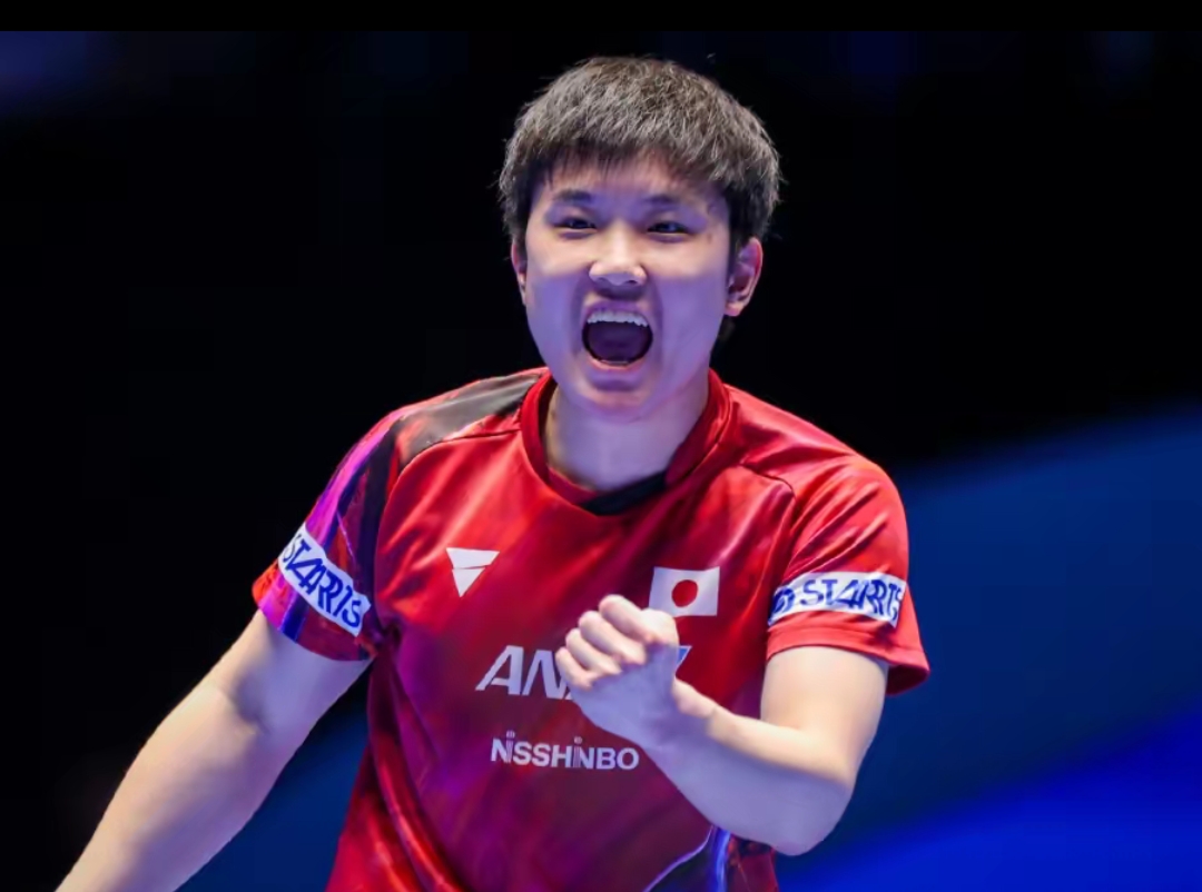 素都可能成 素都可能成